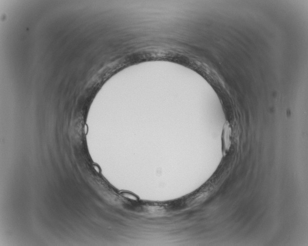 X0000086040509200704202014