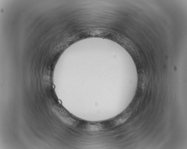 X0000086040510200704202014