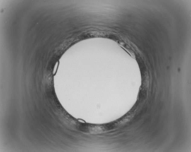 X0000086040513200704202014