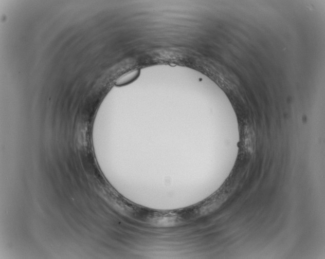 X0000086040514200704202014