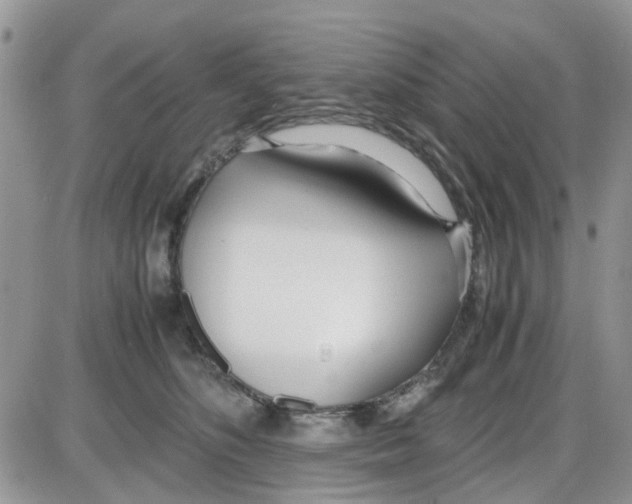 X0000086040516200704202014