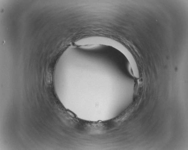 X0000086040517200704202014