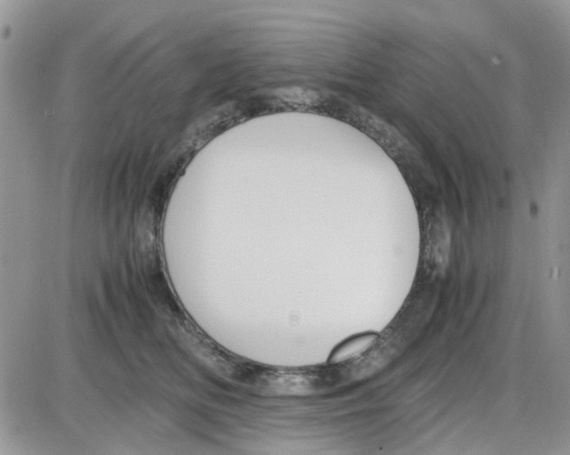 X0000086040518200704202014