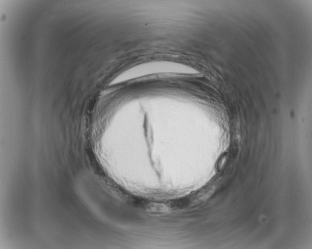 X0000086040519200704202014