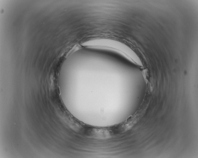 X0000086040520200704202014