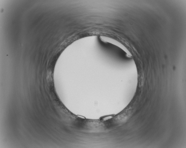 X0000086040521200704202014