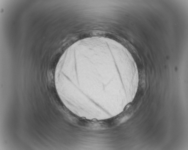 X0000086040523200704202014