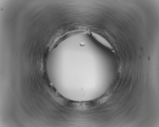 X0000086040524200704202014