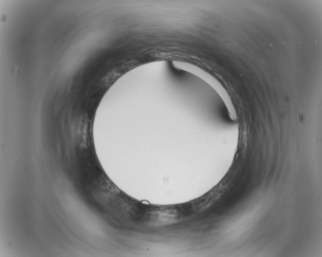 X0000086040525200704202014