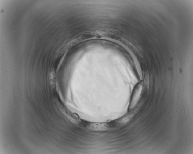 X0000086040526200704202014