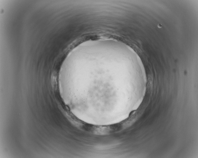 X0000086040527200704202014