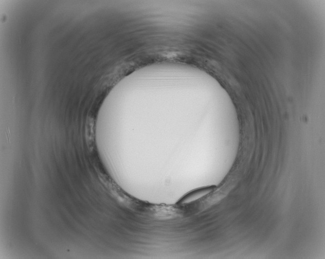 X0000086040528200704202014