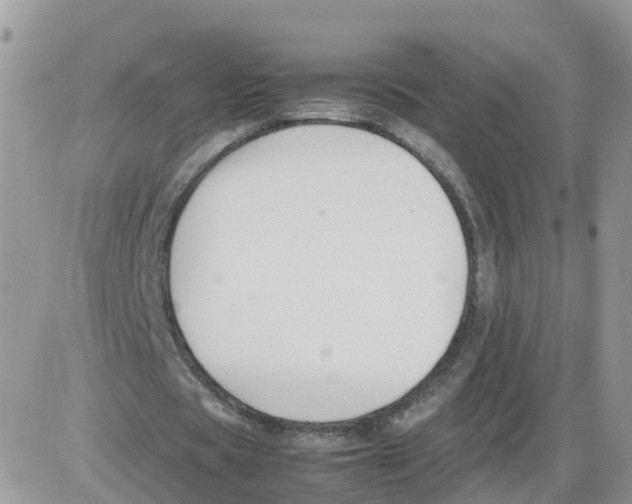 X0000086040529200704202013