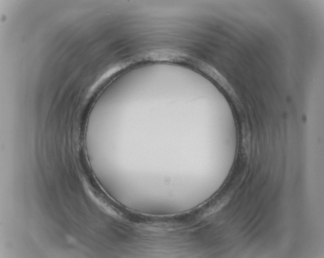 X0000086040530200704202013