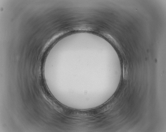 X0000086040531200704202013