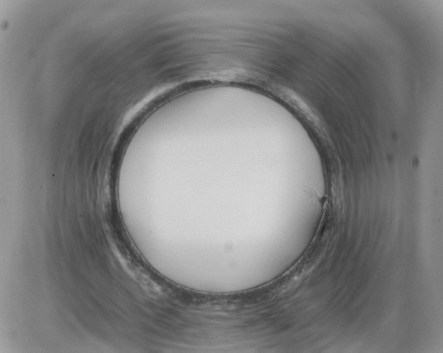 X0000086040532200704202013