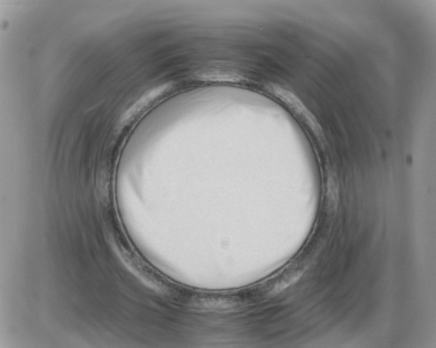 X0000086040533200704202013