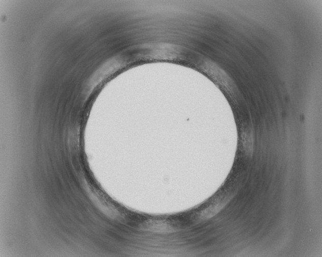 X0000086040534200704202013