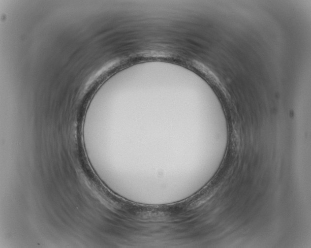 X0000086040535200704202013