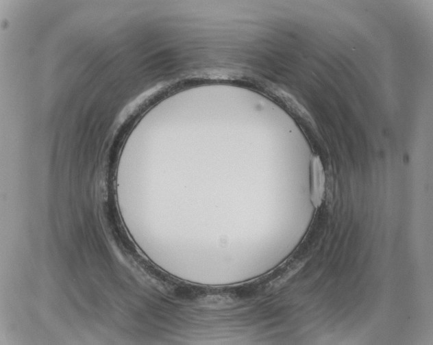 X0000086040536200704202013