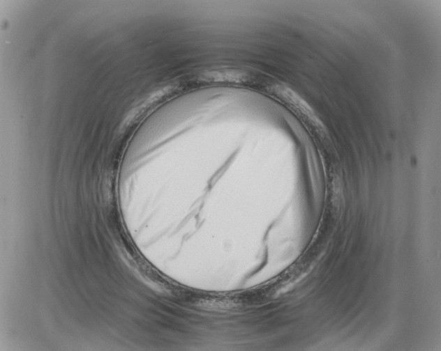 X0000086040537200704202013