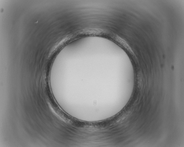 X0000086040538200704202013