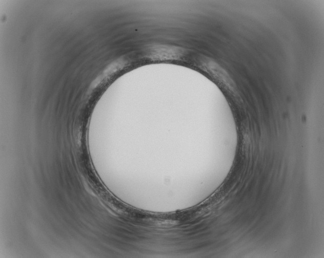 X0000086040539200704202013