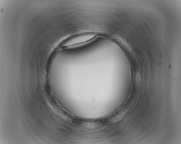 X0000086040540200704202013