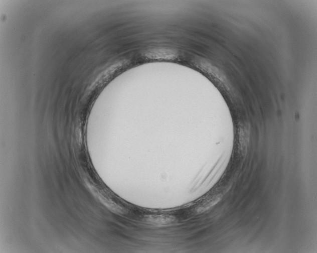 X0000086040541200704202013