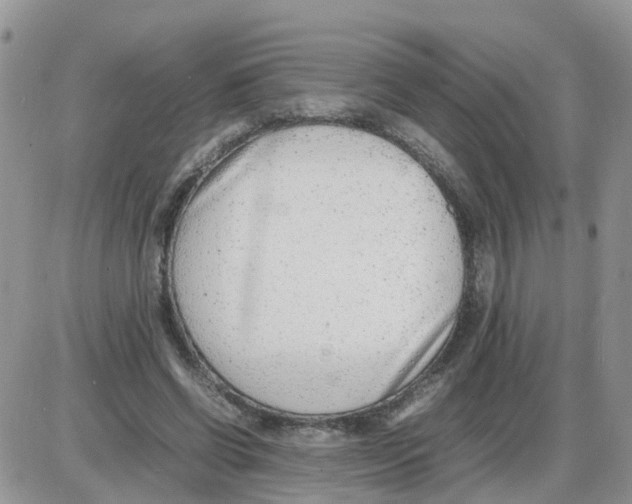 X0000086040542200704202013