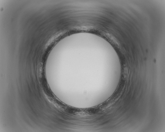 X0000086040544200704202013