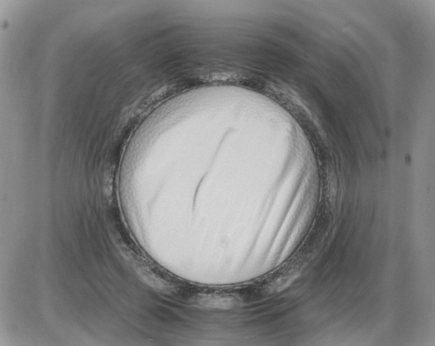 X0000086040545200704202013