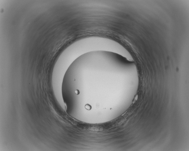 X0000086040546200704202013