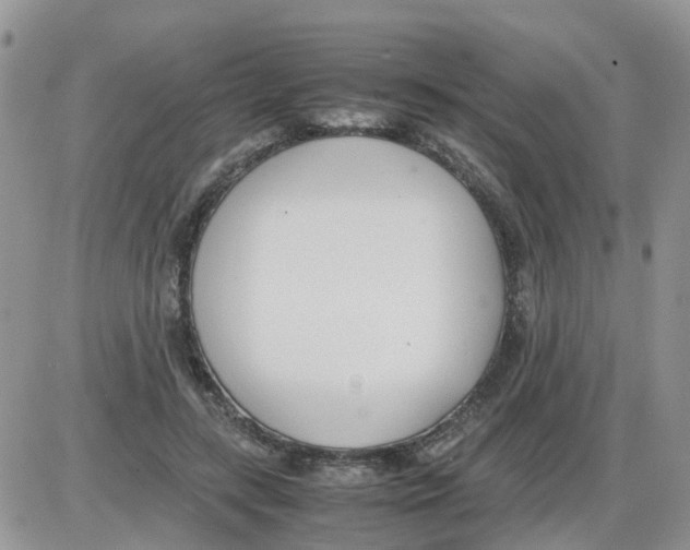 X0000086040547200704202013