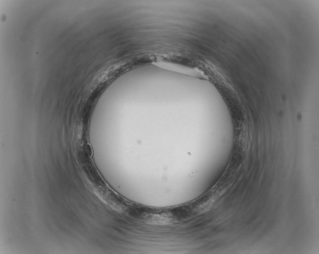 X0000086040548200704202013