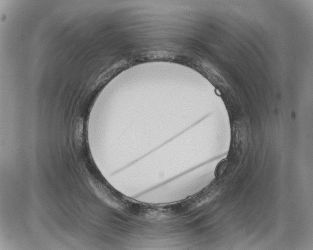 X0000086040550200704202014