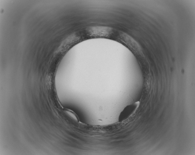 X0000086040551200704202014