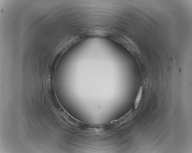 X0000086040552200704202014