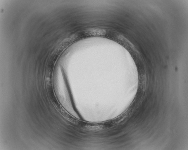 X0000086040553200704202014