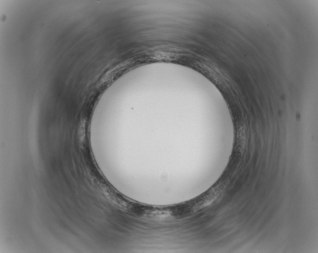 X0000086040554200704202014