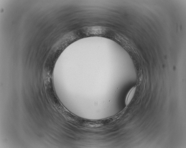 X0000086040555200704202014