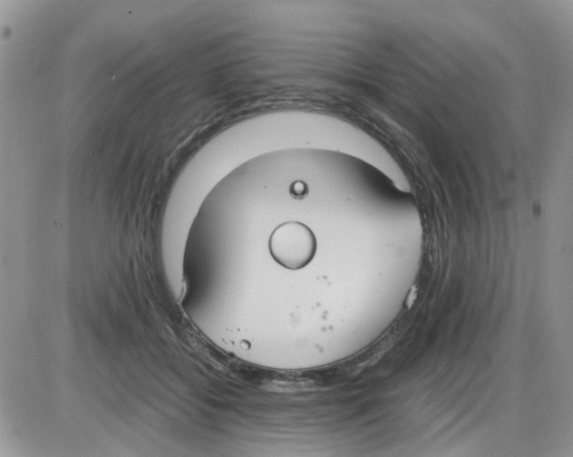 X0000086040556200704202014