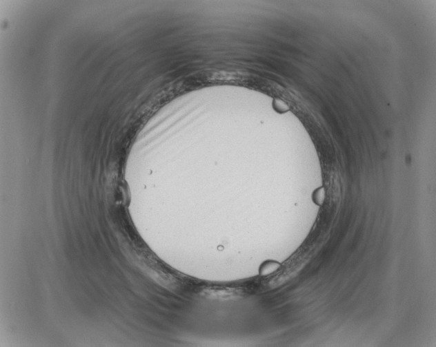 X0000086040557200704202014