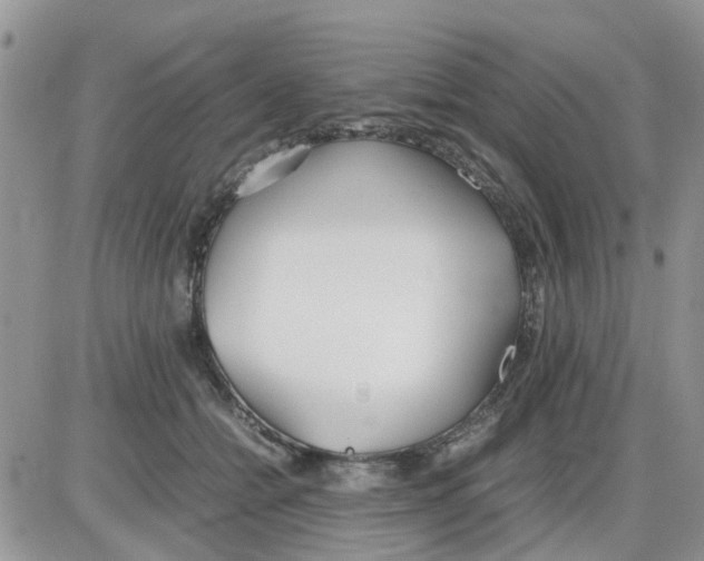 X0000086040558200704202014