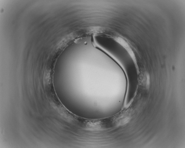 X0000086040560200704202014