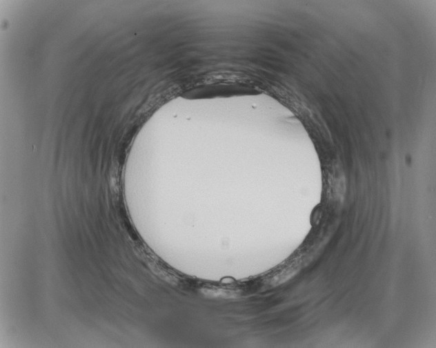 X0000086040561200704202014