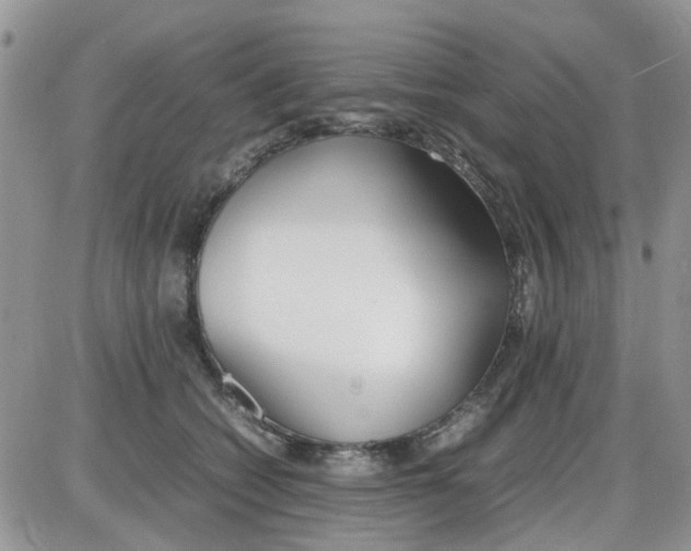 X0000086040562200704202014