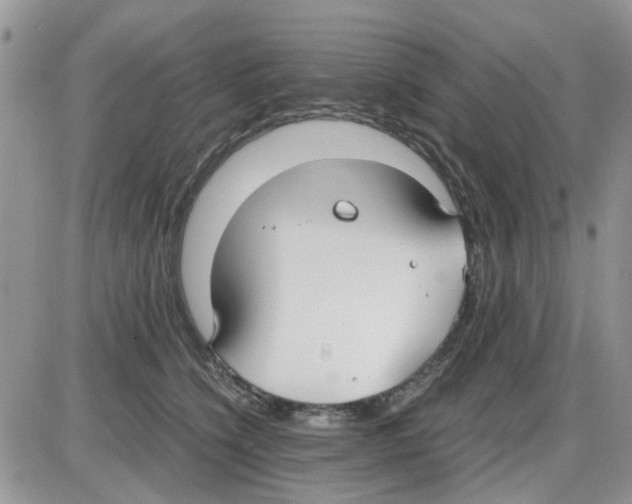 X0000086040564200704202014