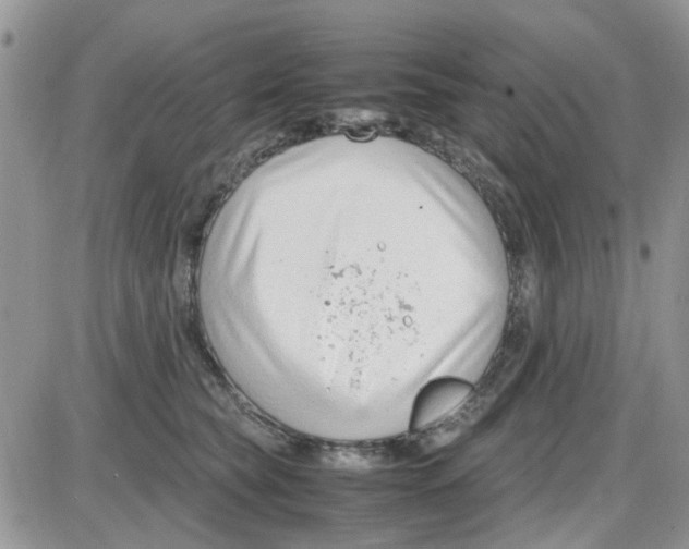 X0000086040565200704202014