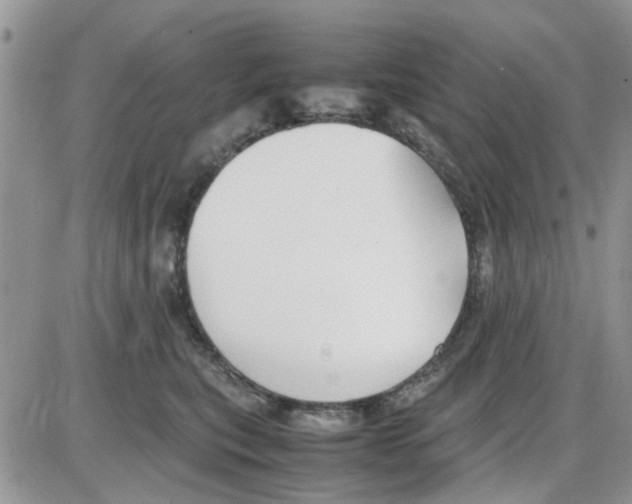 X0000086040567200704202014